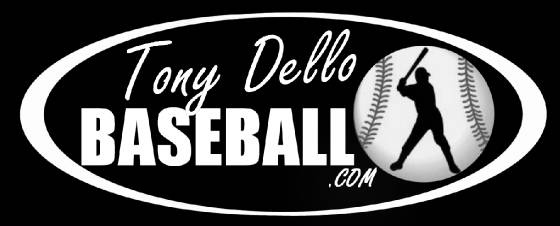 Professional Baseball Hitting Lessons Tony Dello Arizona Diamondbacks